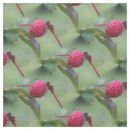 Roter Dragonfly-Insekt-Naturmuster Stoff (Muster)