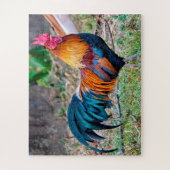Roter Dschungelvögel Puzzle (Vertikal)