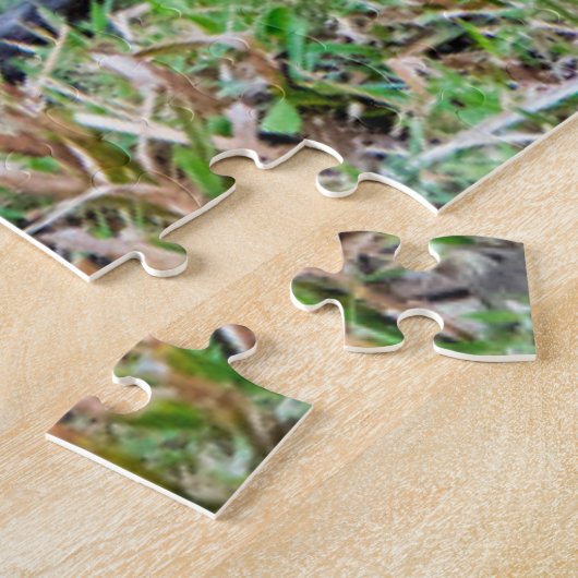 Roter Dschungelvögel Puzzle (Seite)