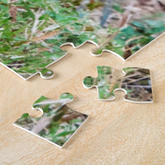 Roter Dschungelvögel Puzzle (Seite)