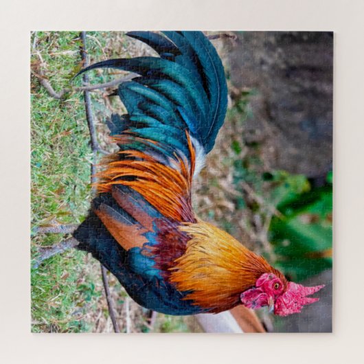 Roter Dschungelvögel Puzzle (Horizontal)