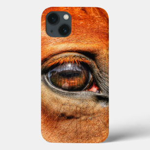 Roter Dun Eye Equine Foto für Pferdefreunde Case-Mate iPhone Hülle