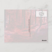 Roter Dunkler und graue Postkarte (Rückseite)