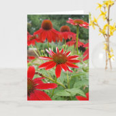 Roter Echinacea Notecards (freier Raum nach innen) Karte (Gelbe Blume)