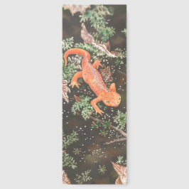 Roter Eft Salamander