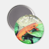 Roter Eft Salamander Natur Personalisiert Magnet (Vorderseite/Rückseite)