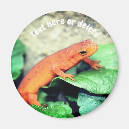 Roter Eft Salamander Natur Personalisiert Magnet (Vorne)