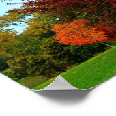 Roter Eichenbaum im Herbst Poster (Ecke)