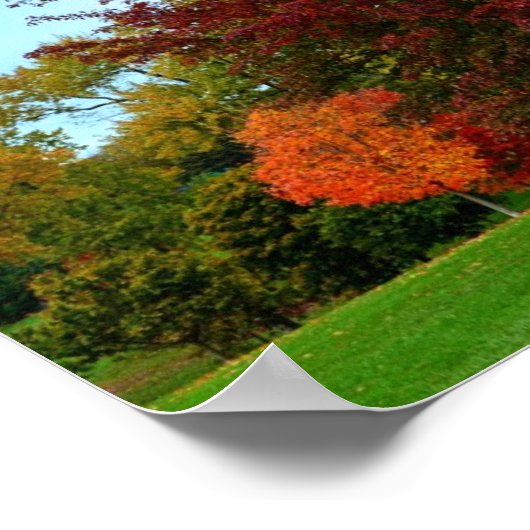 Roter Eichenbaum im Herbst Poster (Ecke)