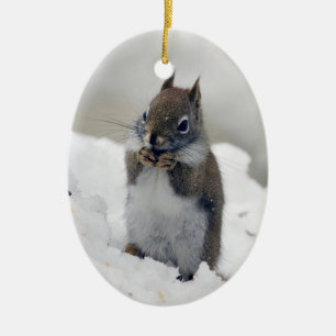 Roter Eichhörnchen-Blauer Winter Keramik Ornament