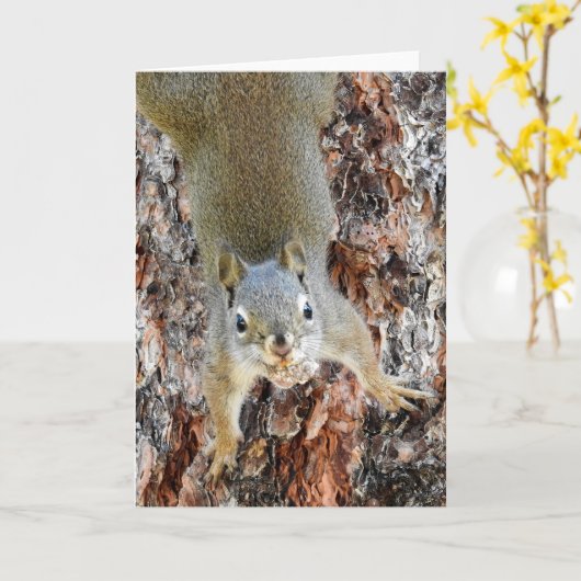 Roter Eichhörnchen Karte (Gelbe Blume)