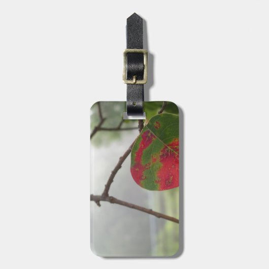 Roter Fall der Blätter in Florida Gepäckanhänger (Vorderseite vertikal)