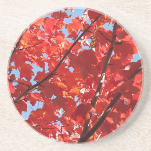 Roter Fall Getränkeuntersetzer