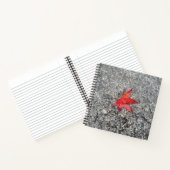 Roter Fall in Regen auf grauer, strukturierter Str Notizblock (Innenseite)