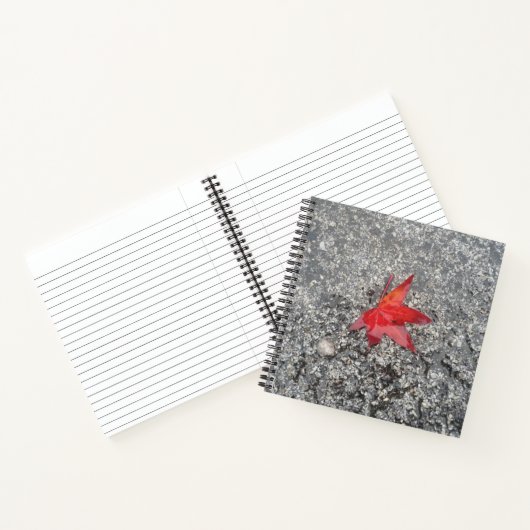 Roter Fall in Regen auf grauer, strukturierter Str Notizblock (Innenseite)
