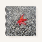 Roter Fall in Regen auf grauer, strukturierter Str Notizblock (Vorderseite)