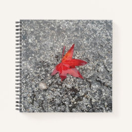 Roter Fall in Regen auf grauer, strukturierter Str Notizblock