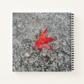 Roter Fall in Regen auf grauer, strukturierter Str Notizblock (Rückseite)