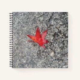 Roter Fall in Regen auf grauer, strukturierter Str Notizblock