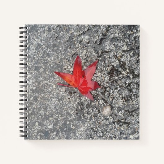 Roter Fall in Regen auf grauer, strukturierter Str Notizblock (Vorderseite)