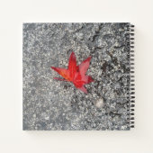 Roter Fall in Regen auf grauer, strukturierter Str Notizblock (Rückseite)