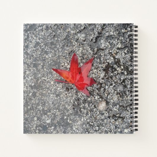 Roter Fall in Regen auf grauer, strukturierter Str Notizblock (Rückseite)
