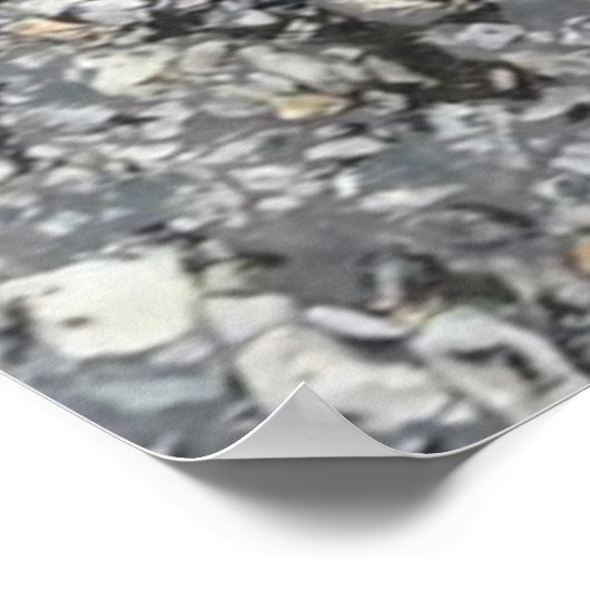 Roter Fall in Regen auf grauer, strukturierter Str Poster (Ecke)