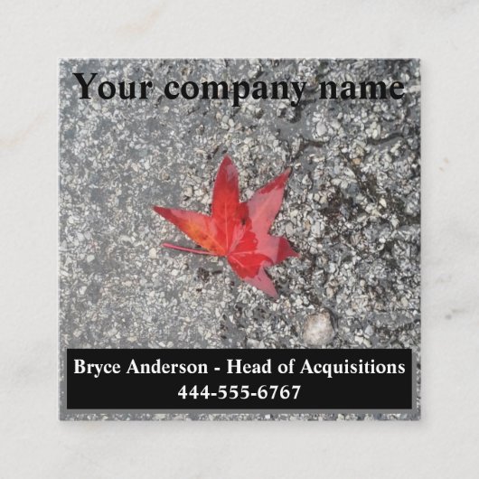 Roter Fall in Regen auf grauer, strukturierter Str Quadratische Visitenkarte (Vorderseite)