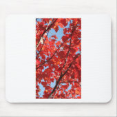 Roter Fall Mousepad (Vorne)