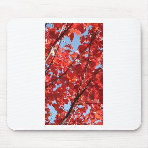 Roter Fall Mousepad