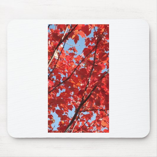 Roter Fall Mousepad (Vorne)