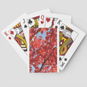 Roter Fall Spielkarten