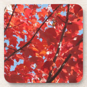 Roter Fall Untersetzer (Vorderseite)