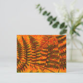 Roter Farn Postkarte (Stehend Vorderseite)