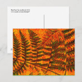 Roter Farn Postkarte (Vorne/Hinten)