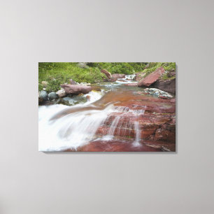 Roter Felsen im Baring Creek im Glacier National Leinwanddruck