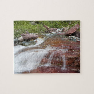 Roter Felsen im Baring Creek im Glacier National Puzzle
