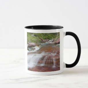 Roter Felsen im Baring Creek im Glacier National Tasse
