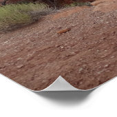 Roter Felsen im Nationalpark Arches Poster (Ecke)