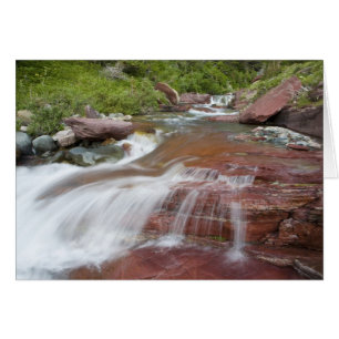 Roter Felsen in Baring Creek im Glacier National