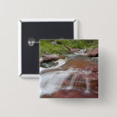 Roter Felsen in Baring Creek im Glacier National Button (Vorne & Hinten)