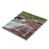 Roter Felsen in Baring Creek im Glacier National Fliese (Seite)