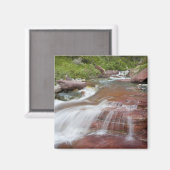 Roter Felsen in Baring Creek im Glacier National Magnet (Vorderseite/Rückseite)