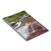 Roter Felsen in Baring Creek im Glacier National Notizblock (Rechte Seite)