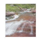 Roter Felsen in Baring Creek im Glacier National Notizblock (Vorderseite)