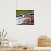 Roter Felsen in Baring Creek im Glacier National Poster (Küche)