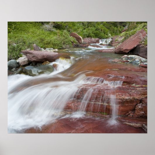 Roter Felsen in Baring Creek im Glacier National Poster (Vorne)