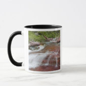 Roter Felsen in Baring Creek im Glacier National Tasse (Links)