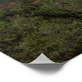 Roter Felsen Sedona 082 Poster (Ecke)