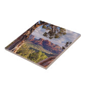 Roter Felsen | Sedona Arizona Fliese (Seite)